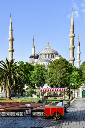 Kusadasi to Istanbul Day Trip with Flights - Private